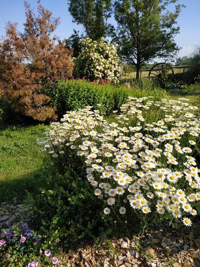 Bed and Breakfast Les Bienfaits D'Harmonium La Chapelle-Gaudin Exterior foto
